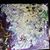 Tammy Risinger's profile image