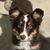 Pattie Robak-White's profile image