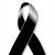 Alberto Mesa's profile image