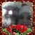 Sandra Kujawski's profile image
