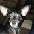 Ray Eanes's profile image