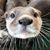 Carrie Sue Robinson's profile image