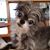 Diane Glem's profile image