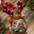 Paula Gutierrez-Jones's profile image