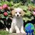 Mickey Frampton's profile image