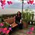 Concy Stimac's profile image