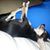 Cheri August Bell's profile image
