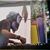 Alika Awana's profile image