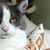 Laura Johnston's profile image
