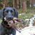 Tina Demuth Miller's profile image