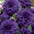 Renee Carroll Manning's profile image
