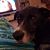 Margaret Alexander Fonner's profile image
