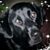 Rick Blake's profile image
