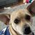 Annette Thrush's profile image
