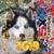 Gail Lemay's profile image