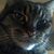 Clark Dorr's profile image