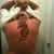 Nilson Barrientos's profile image