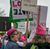 Jody Sheridan's profile image