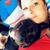 Jeanne Stearns Etherton's profile image