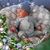 Victoria Bergey's profile image