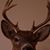 Ray Scodeller's profile image