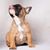 Maurin Brunet's profile image