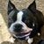 Matthew Gross's profile image