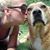 Shannon O'Herron's profile image