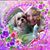 Sharon Shepherd's profile image
