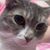 Ashley Henderson's profile image