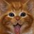 James Ish's profile image