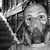 Nick Fiebrink's profile image