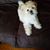 Kathy Young's profile image