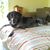Susanne Pasick's profile image