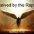 Michelle Olds Holland's profile image