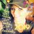 Misty Dawn Shelnutt Conn's profile image