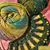 Melody Draves's profile image