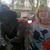 Linda Busch's profile image