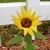 Kathy Flaherty Rose's profile image