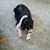 Linda Ewing's profile image