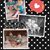Sue Blauth's profile image