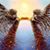 Gail Godwin DiGirolamo's profile image