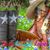 Ann Sparks's profile image