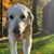 Dana Suter Rolison's profile image