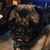 Patricia Owens-Honaker's profile image