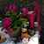 Cheri Buckmaster's profile image