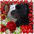 Peggy Ramsey's profile image
