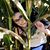 Jacqueline Rose's profile image