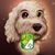 Gris Gonzalez's profile image