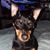 Michelle Reindl Squires's profile image
